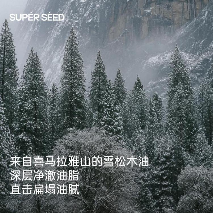 超级种子 雪松头皮清洁洗发水露清爽蓬松无硅油去屑控油洗发液4.0升级版