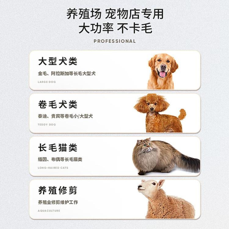 商品缩略图 5