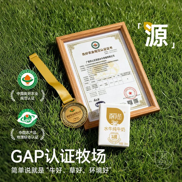 百菲酪 百菲酪3.8g乳蛋白水牛纯牛奶200ml*12盒礼盒装