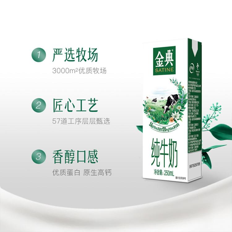 伊利yili 【中秋礼盒】2箱金典纯牛奶250ml*12盒早餐营养牛奶 图 3