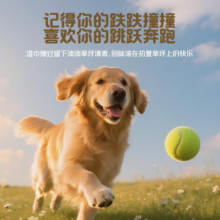 商品缩略图 6