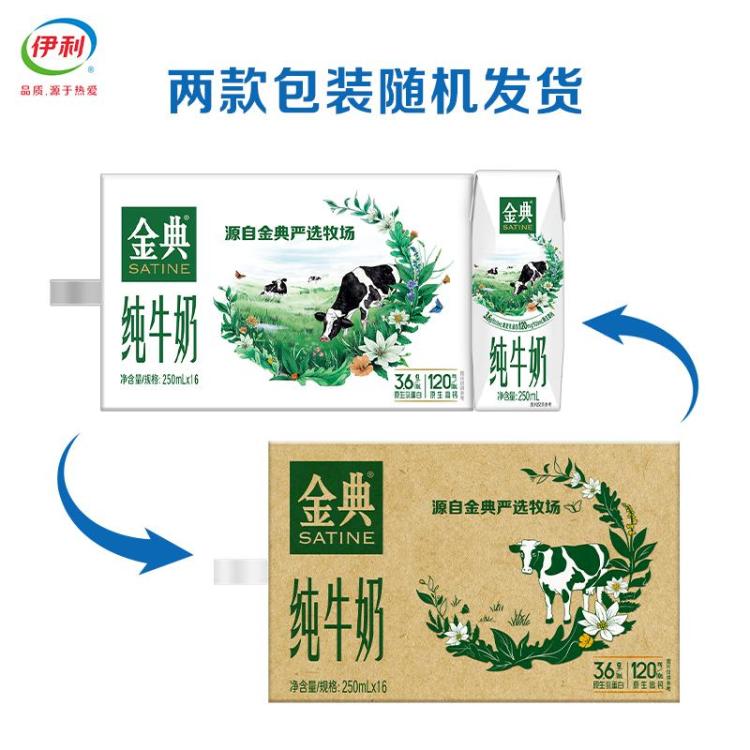 伊利yili 金典纯牛奶250ml*16盒 7-8月产 中秋礼