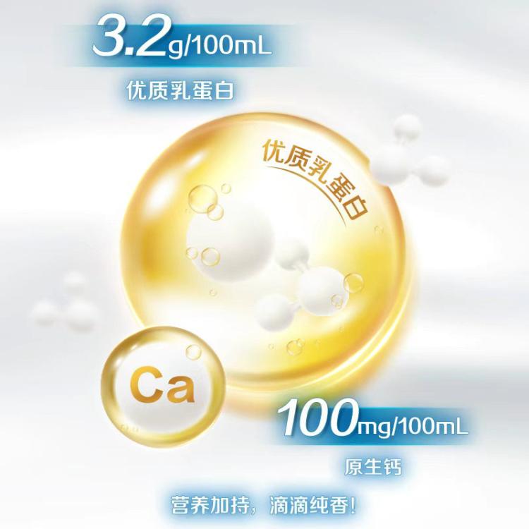 伊利yili 伊利纯牛奶200ml*24盒 甄选奶源 中秋礼 7-8月产 图 6