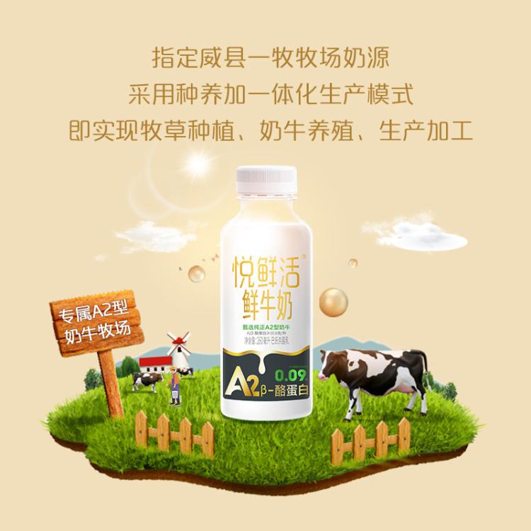 悦鲜活 悦鲜活鲜牛奶A2-酪蛋白 巴氏杀菌 A2型260mlx8瓶
