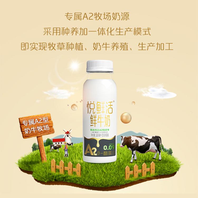 悦鲜活 悦鲜活鲜牛奶低温奶巴氏杀菌乳更多活性蛋白260ml组合10瓶