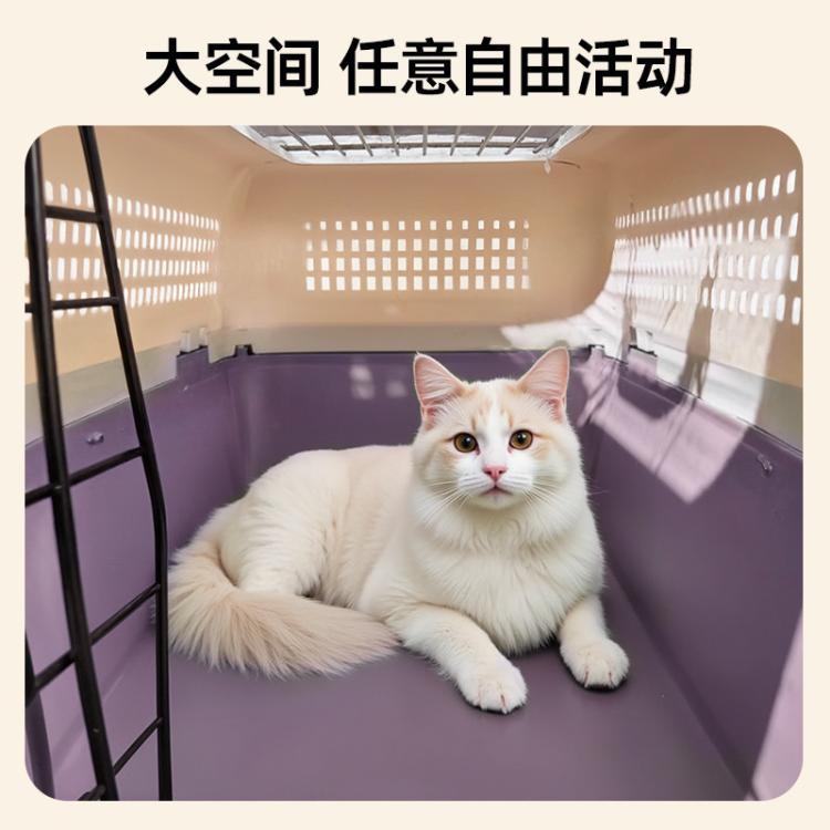 商品缩略图 4