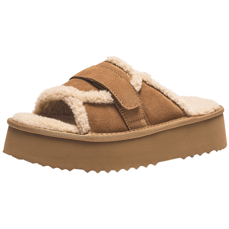 ȷ ëëЬŮЬ2024бůڼҾϸЬ