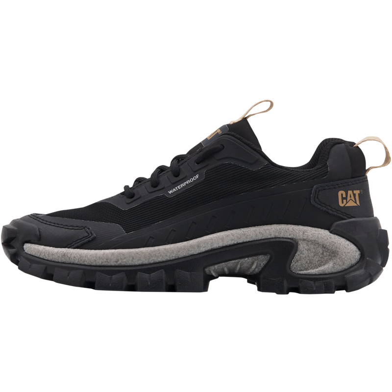 CAT ���־����������ش���24����Ůͬ����������Ь�ϵ�Ь