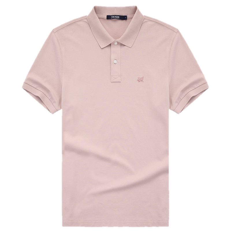 &ǰ廨ŸĿʿ͸Polo178Ԫ