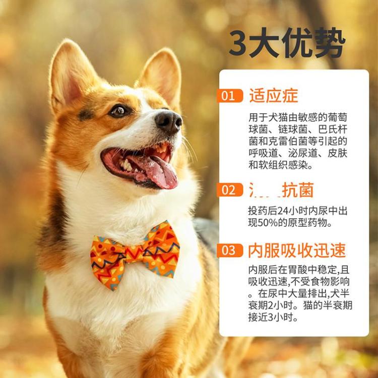 商品缩略图 11