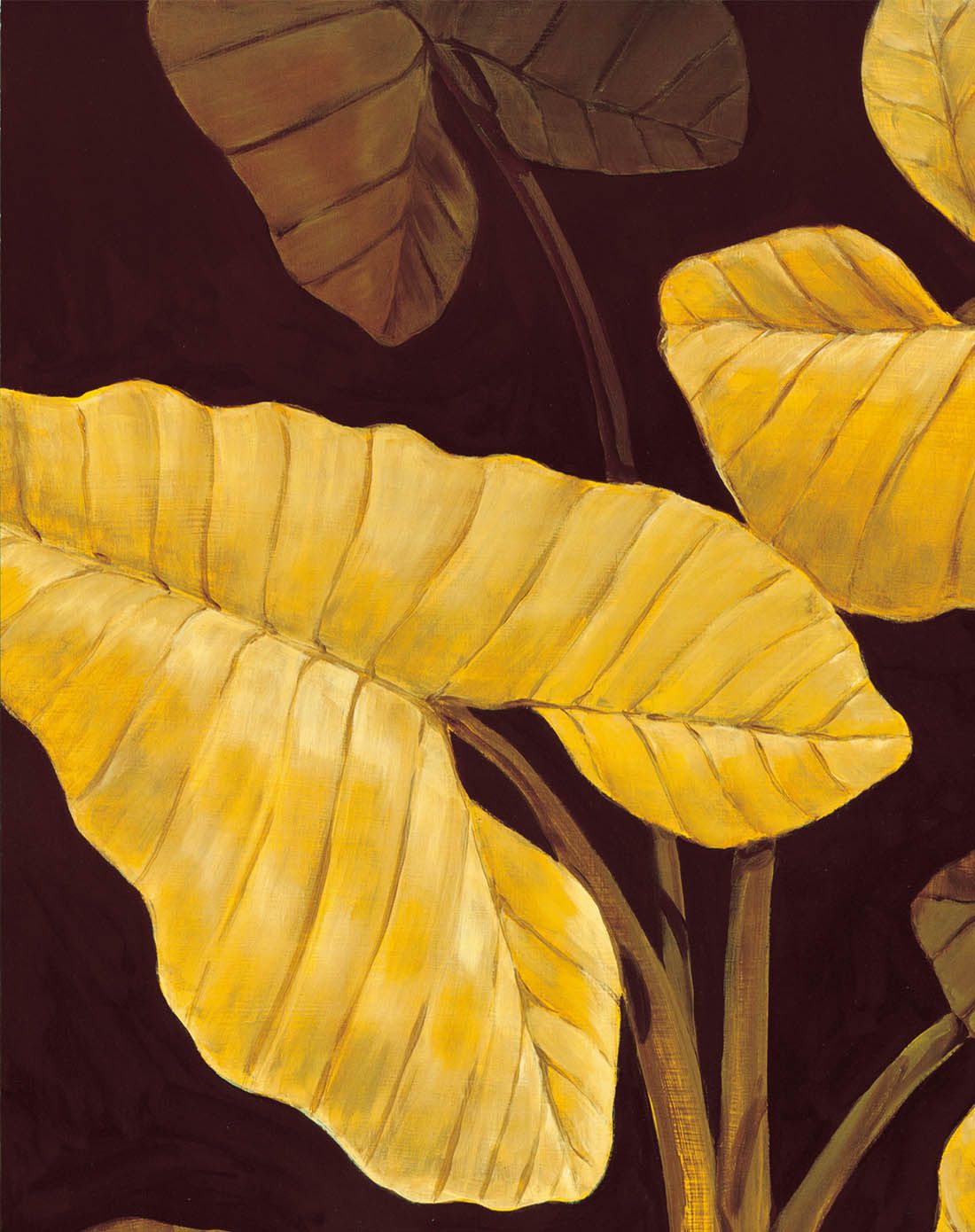 复古框条金边内衬装饰画 富贵双升